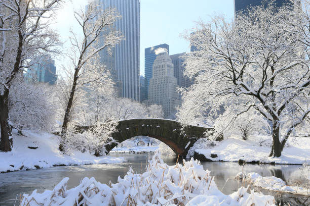 Central Park in heavy snow