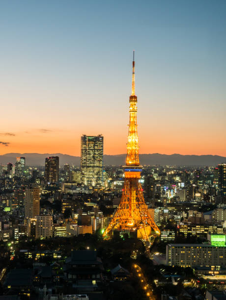 istock Observation room night view in Japan 695041488