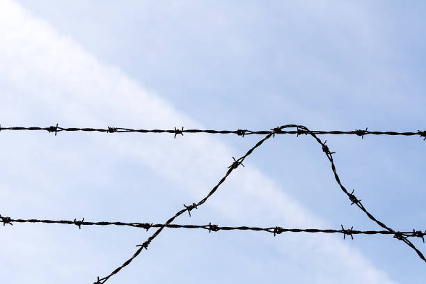 istock Barbed wire on the sky background 695045226