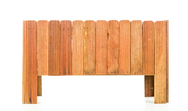 istock Close up of jardiniere isolate 695045436