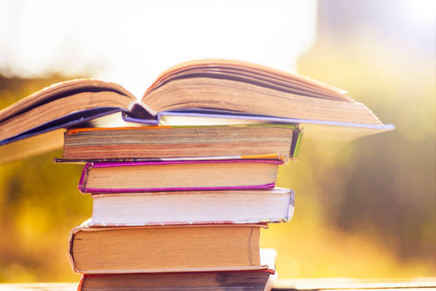 istock Open book on wooden table on natural background. Soft focus 695059214