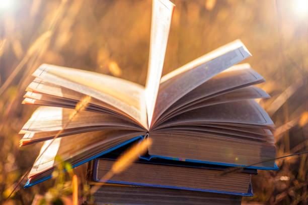 istock Open book on wooden table on natural background. Soft focus 695059444