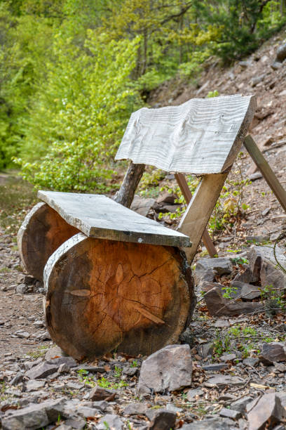 istock Wooden bank along a path in the forest 695066054