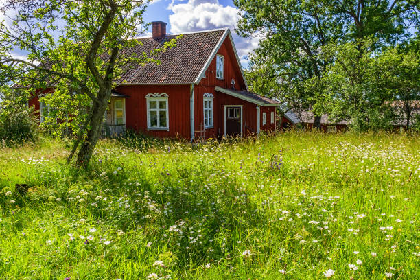Photo series of young nordic woman spending time in her traditional summer cottage.