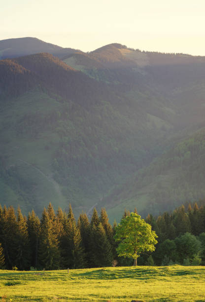 istock Mountain valley during sundown. Beautiful natural landscape in the summer time 695072418