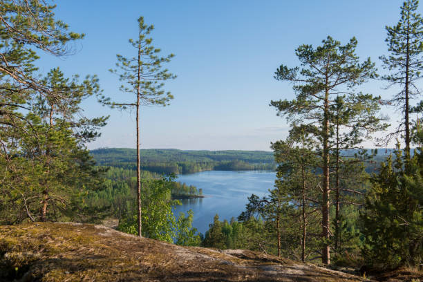 istock Neitvuori national park in Finland 695072464