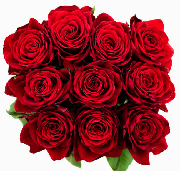 istock A Bouquet of Red Roses Isolated on a White Background 695072760