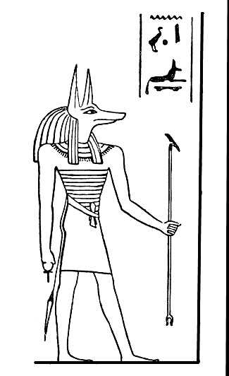 illustration of a Egyptian God Anubis