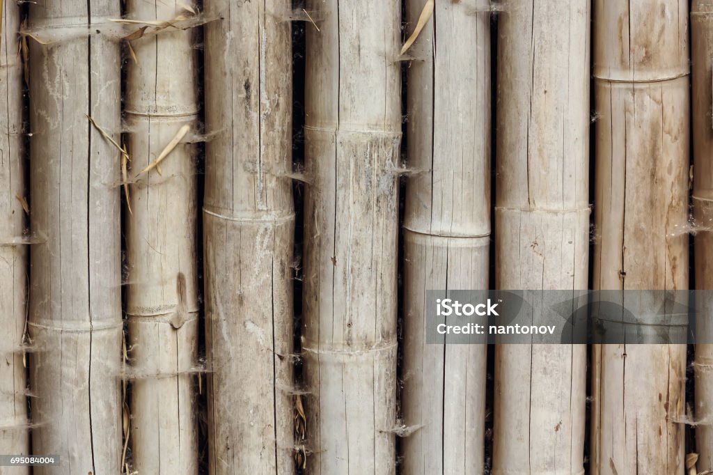 Close up of bamboo wood background texture Close up of bamboo wood background texture. Abstract Stock Photo