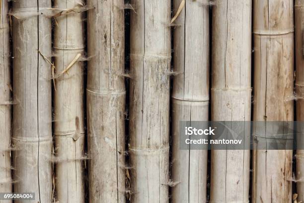 Close Up Of Bamboo Wood Background Texture Stock Photo - Download Image Now - Abstract, Architecture, Arrangement