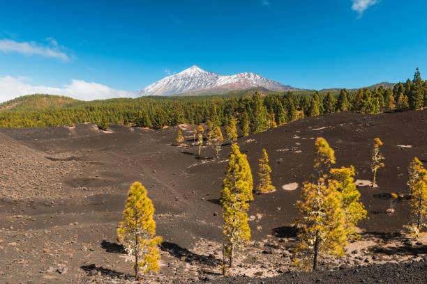 istock Teide National Park Tenerife Canary 695087996