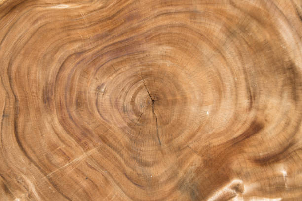 istock Hardwood texture in brown color 695093878