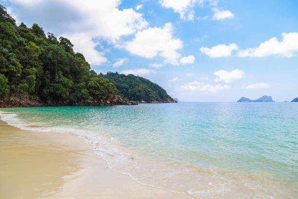 istock Tropical beach scenery, Andaman sea, Myanmar 695094916