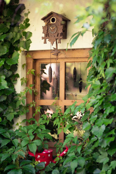 pendule à coucou maison d’oiseau - cuckoo clock clock german culture antique photos et images de collection