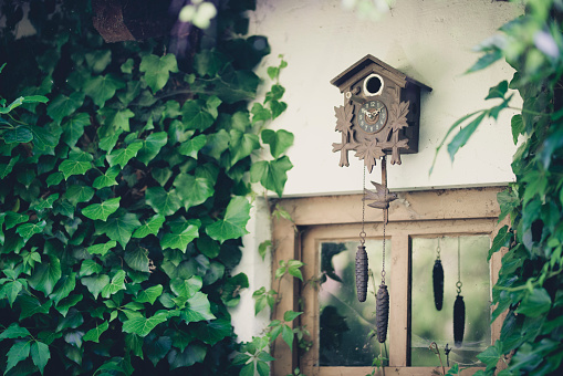 old cuckoo clock bird house at a garden house