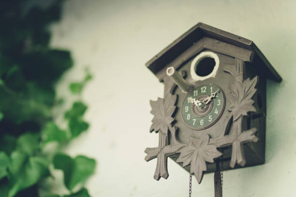 pendule à coucou maison d’oiseau - cuckoo clock clock german culture antique photos et images de collection