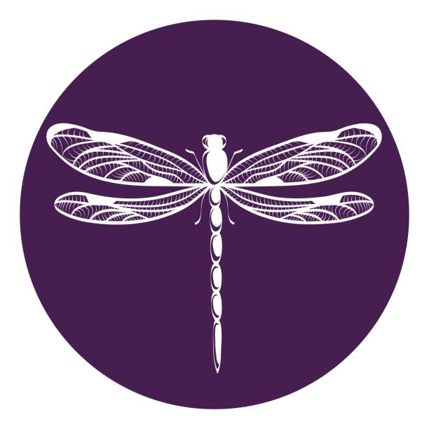 1,337 Dragonfly Free Stock Photos, Pictures & Royalty-Free Images - iStock