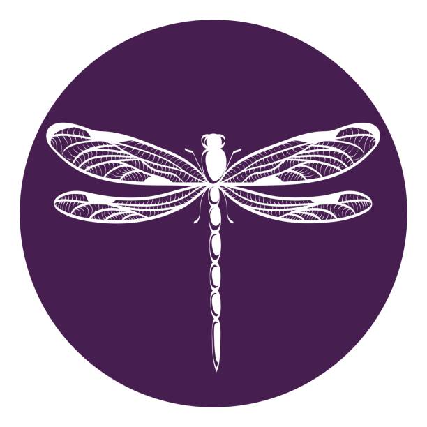 1,337 Dragonfly Free Stock Photos, Pictures & Royalty-Free Images - iStock 1,337 Dragonfly Free Stock Photos, Pictures & Royalty-Free Images - iStock