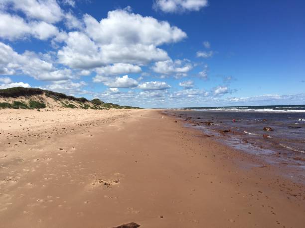 istock Prince Edward Island Seashore 695100908