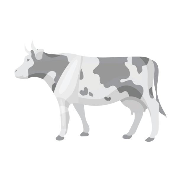 istock Sick cow with bandage on a leg icon in monochrome style isolated on white background. Veterinary clinic symbol stock vector illustration. 695104290