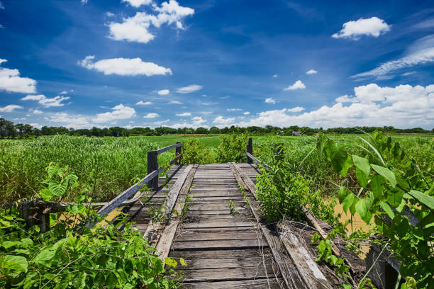 istock Ruin wooden bridge and blue sky 695107658