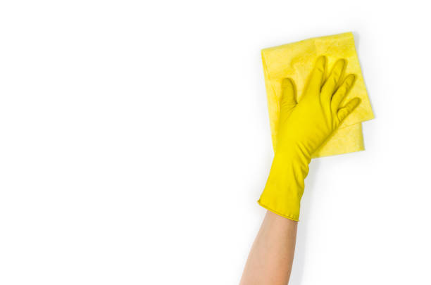 istock Woman's hand cleaning isolated on white background 695116552