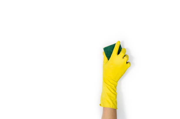 istock Woman's hand cleaning isolated on white background 695116582