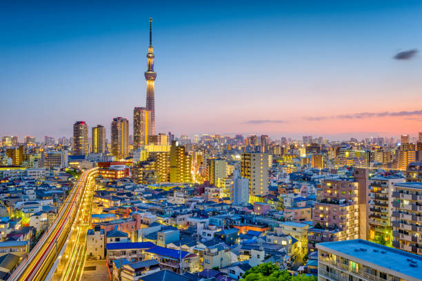 istock Tokyo, Japan Skyline 695120368