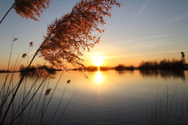 Prachtige zonsondergang in het voorjaar