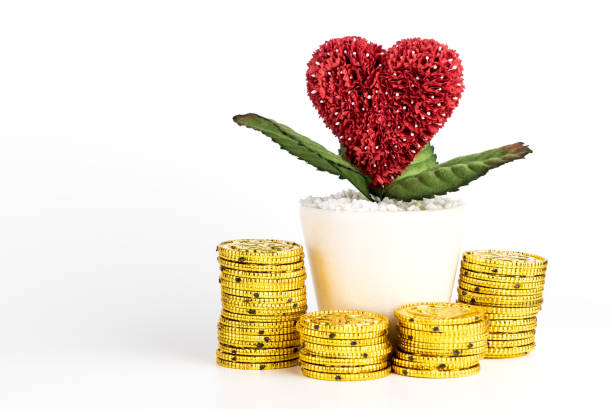 Saving Money for Love and Marriage concept isolated