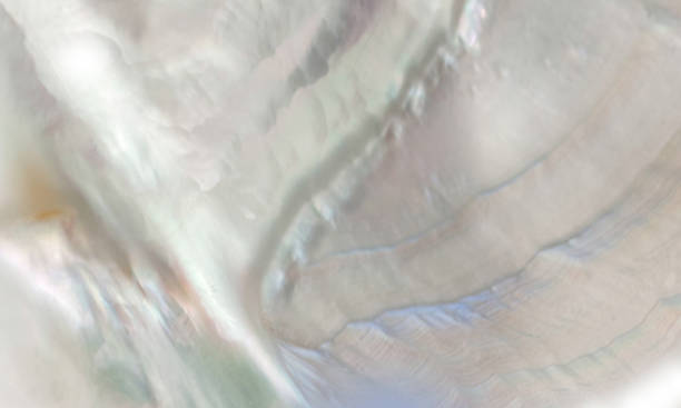 진주 껍질 배경, 청록, 하늘색, 아쿠아와 자주 빛-개념의 추상 nacreous 새틴 어머니 - silk pearl 뉴스 사진 이미지