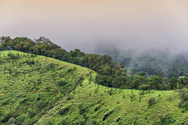istock trails on the mountain peak and mountain ridge with raining fog 695120818