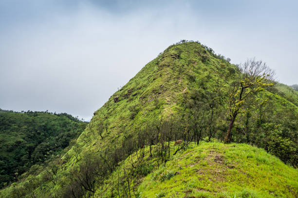 istock trails on the mountain peak and mountain ridge with raining fog 695123270