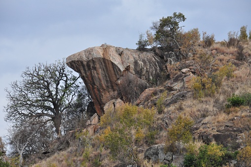 Hervorstehenden Felsen In Kenia Vorgestellt In Der König Der Löwen  Stockfoto und mehr Bilder von Afrika - iStock