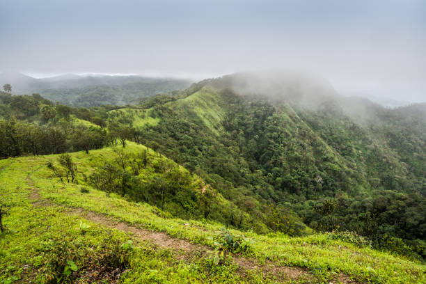 istock trails on the mountain peak and mountain ridge with raining fog 695131030