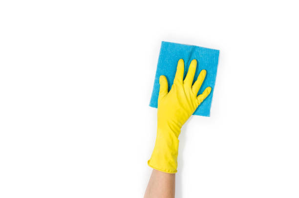 istock Woman's hand cleaning isolated on white background 695131090