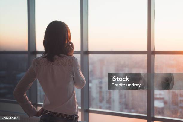Rear View Portrait Of Young Worker Speaking Using Cell Phone Looking Out The Window Female Having Business Call Busy At Her Workplace In Evening Stock Photo - Download Image Now