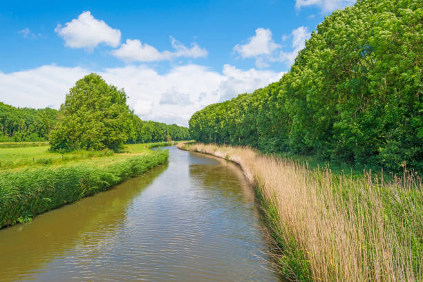 istock Canal through the countryside in spring 695161202