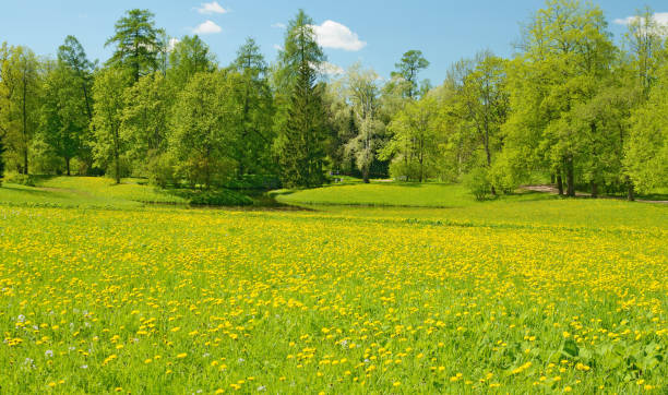 istock The natural landscape in the spring. 695164078
