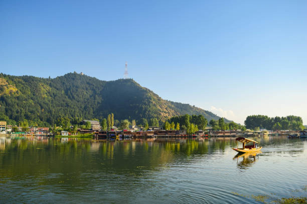 istock Dal Lake view with Sikara boat 695167796