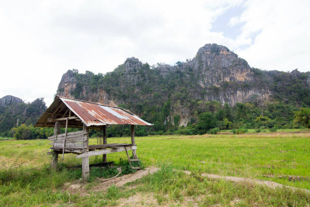 istock Ban Mung at Noen maprang Phitsanulok Thailand. 695168468