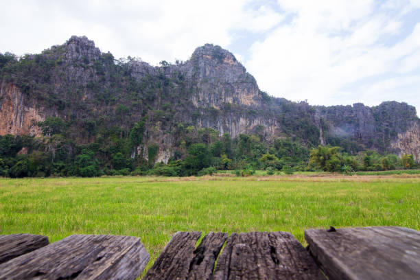 istock Ban Mung at Noen maprang Phitsanulok Thailand. 695168478