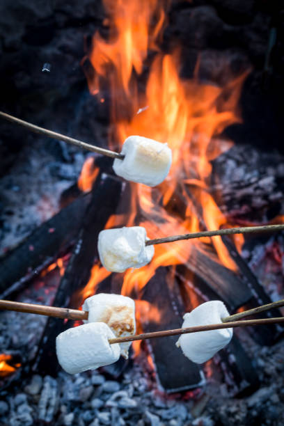 istock Delicious and sweet marshmallows on stick and bonfire 695180340