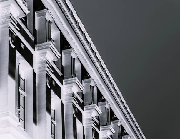 istock Parisian building facade in black and white negative 695180520