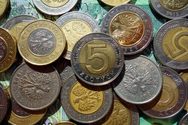 Polish zloty currency coins close-up