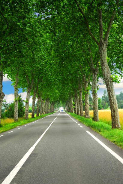 istock French country road 695189274