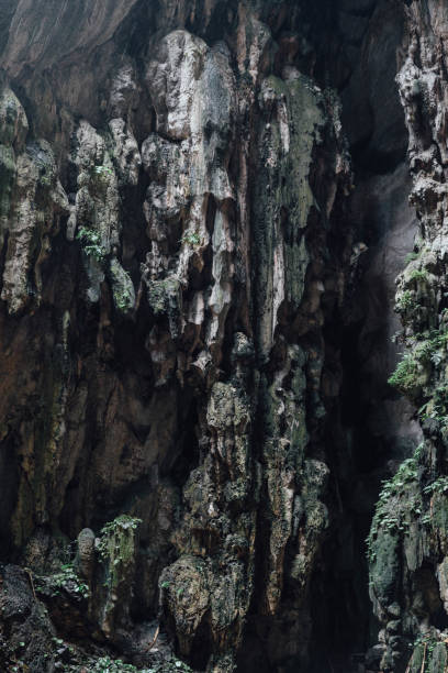 istock Limestone texture inside Batu Caves near Kuala Lumpur, Malaysia 695189710