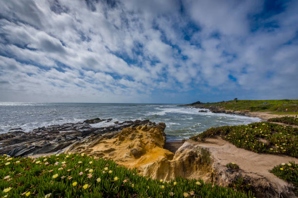 istock Beach view near California 1 695189960