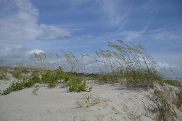 istock St. Simons Island, GA East Beach 695201216