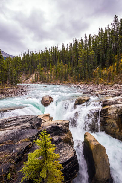 istock Sanvapta Folls in Jasper Park 695201648